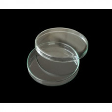 Capsula Petri in vetro borosilicato 60x15 mm